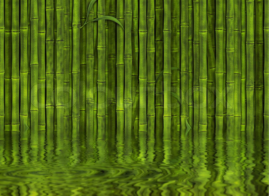 Dusch-Wand - Bambus im Wasser 1546894