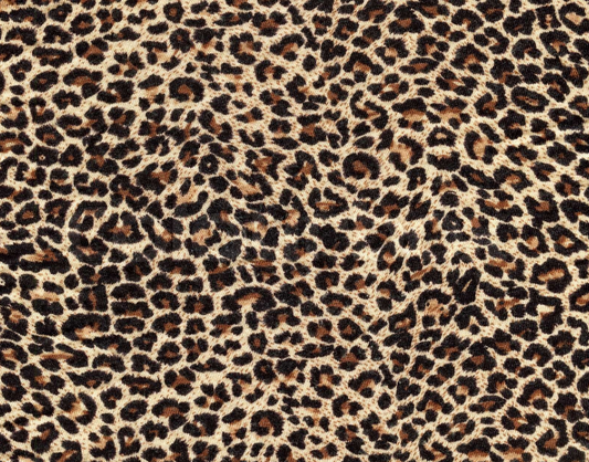 Dusch-Wand - Leopard 1303513