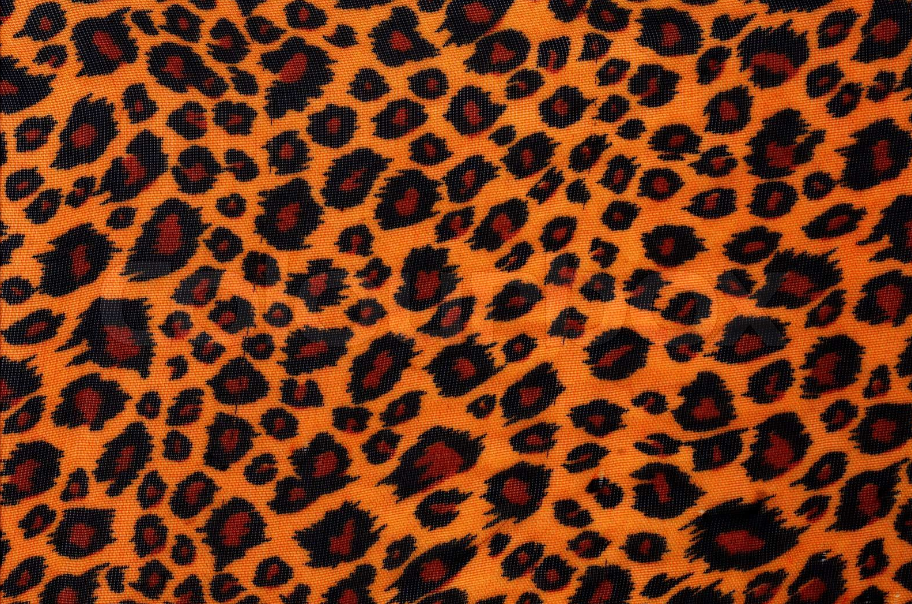 Dusch-Wand - Leopard 2056303