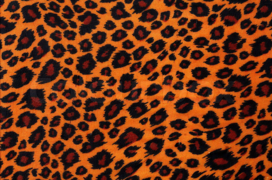 Dusch-Wand - Leopard 2056303